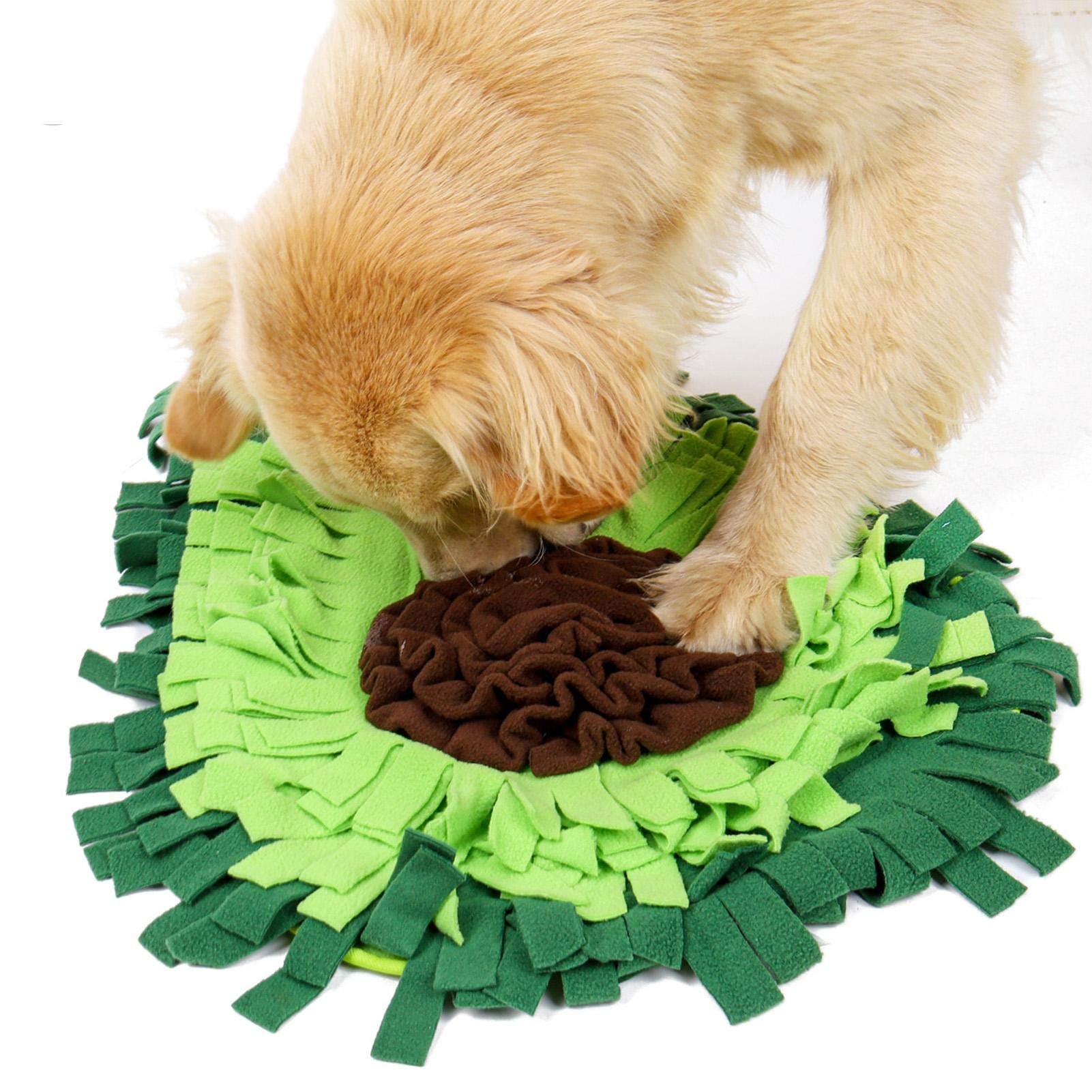 Interactive Dog Sniffing Mat for Puzzle Play and Snack Feeding Training