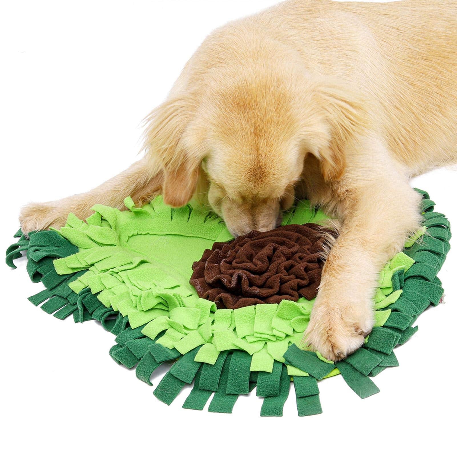 Interactive Dog Sniffing Mat for Puzzle Play and Snack Feeding Training