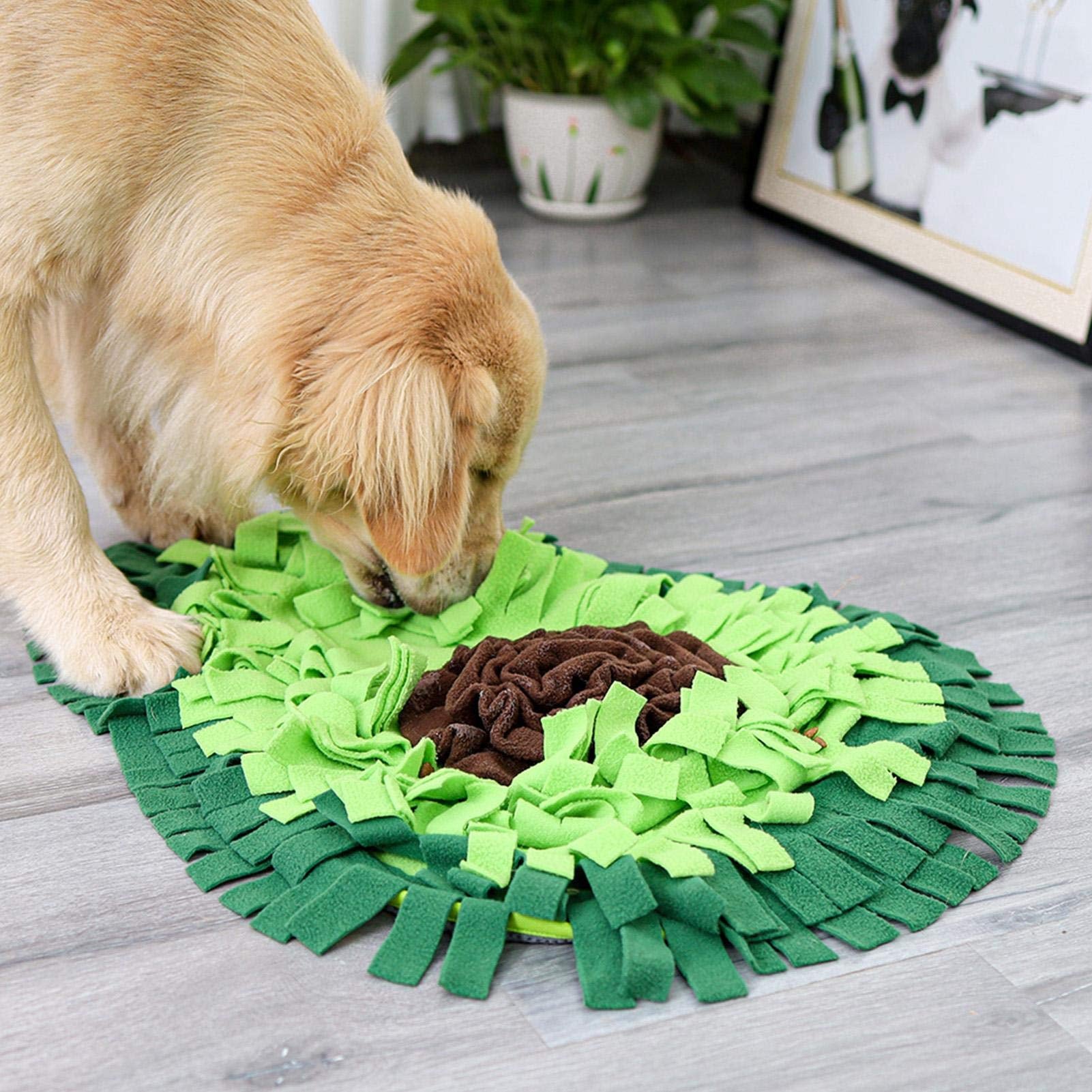 Interactive Dog Sniffing Mat for Puzzle Play and Snack Feeding Training